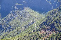 177_SS002477.jpg