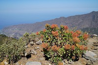 182_SS002485.jpg