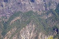 193_SS002500.jpg