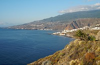 226_SS002548.jpg