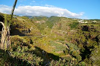 230_SS002553.jpg