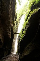 241_SS002572.jpg