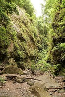 242_SS002575.jpg