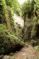 244_SS002579.jpg