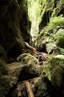 245_SS002584.jpg