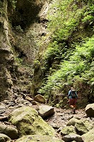 247_SS002586.jpg