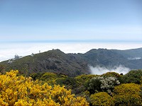 257_IMG_2622.jpg