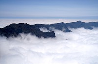 266_SS002649.jpg