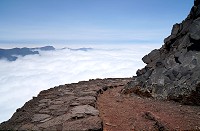 272_SS002667.jpg