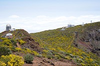 280_SS002689.jpg