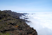282_SS002693.jpg