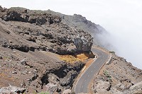 297_SS002715.jpg