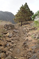 318_SS002748.jpg