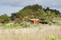 320_SS002751.jpg