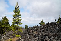 325_SS002764.jpg