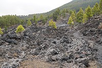 329_SS002770.jpg