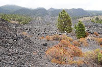 342_SS002797.jpg