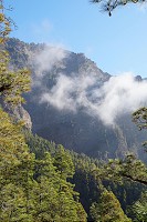 368_SS002842.jpg