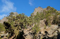 378_SS002856.jpg