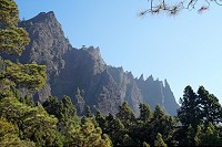 380_SS002861.jpg