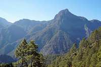 384_SS002871.jpg