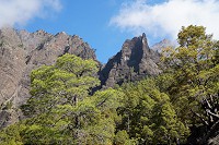 385_SS002874.jpg