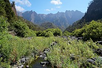 400_SS002903.jpg