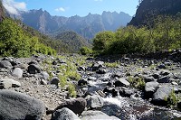 403_SS002906.jpg