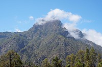413_SS002926.jpg