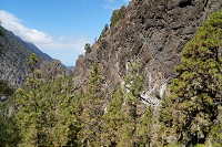 419_SS002939.jpg