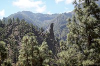 422_SS002945.jpg