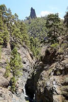 436_SS002967.jpg