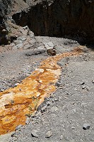 442_SS002976.jpg