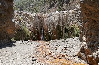 443_SS002977.jpg
