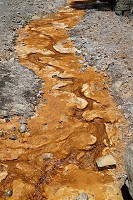 446_SS002979.jpg
