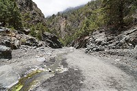 457_SS002989.jpg