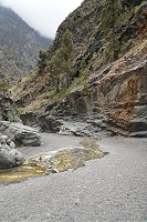 463_SS002999.jpg