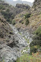 464_SS003003.jpg