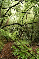 483_SS003024.jpg