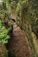 485_SS003026.jpg