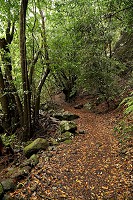 486_SS003027.jpg