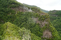 493_SS003045.jpg