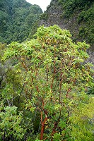 498_SS003051.jpg