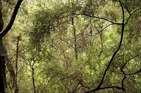 500_SS003054.jpg