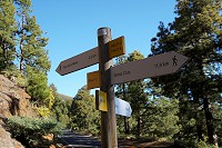 510_SS003064.jpg