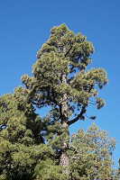 511_SS003069.jpg