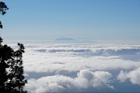 515_SS003074.jpg