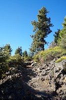 516_SS003076.jpg