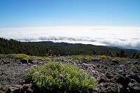521_SS003088.jpg