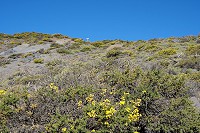 523_SS003090.jpg